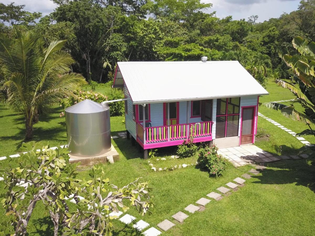 Lower Dover Jungle Lodge & Maya Ruins Unitedville Экстерьер фото