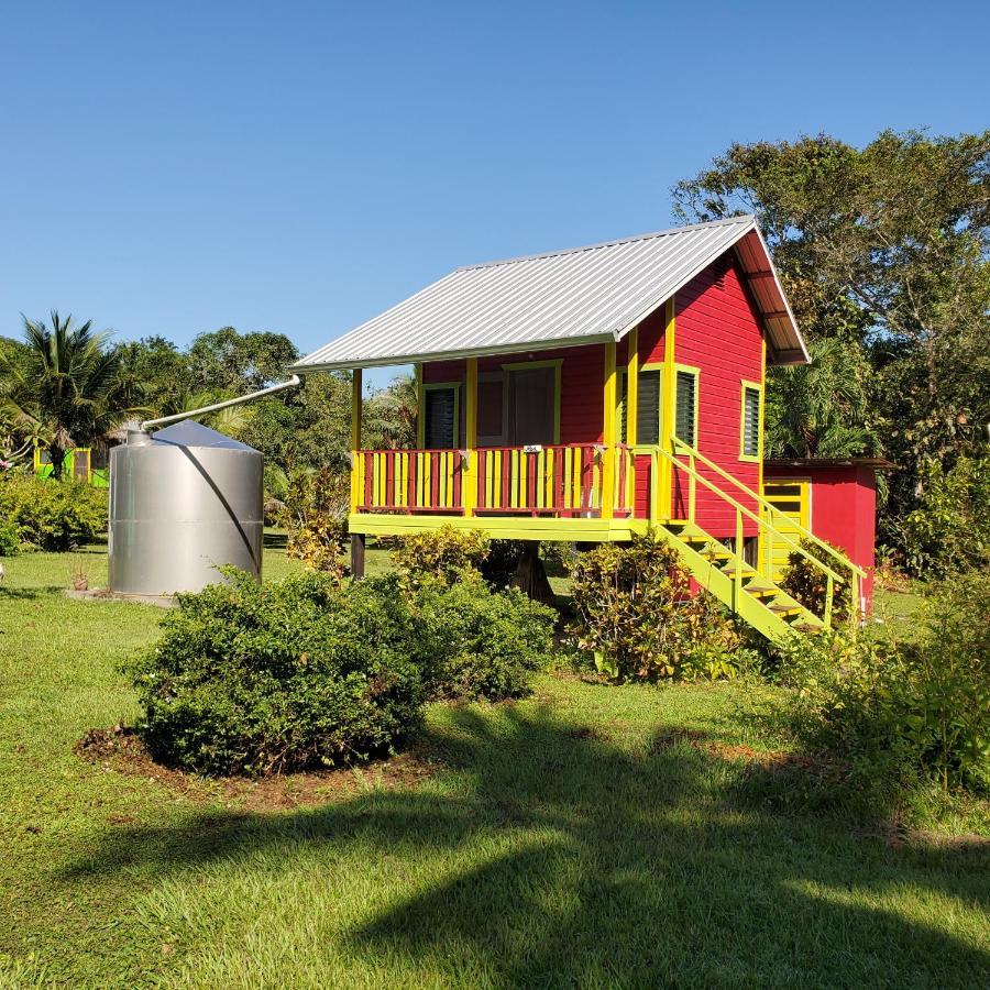 Lower Dover Jungle Lodge & Maya Ruins Unitedville Экстерьер фото