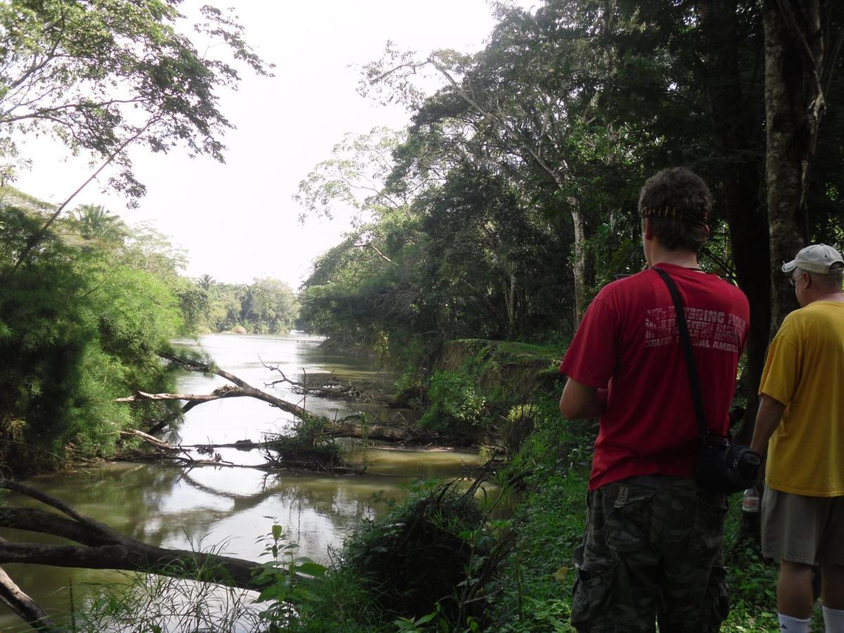 Lower Dover Jungle Lodge & Maya Ruins Unitedville Экстерьер фото