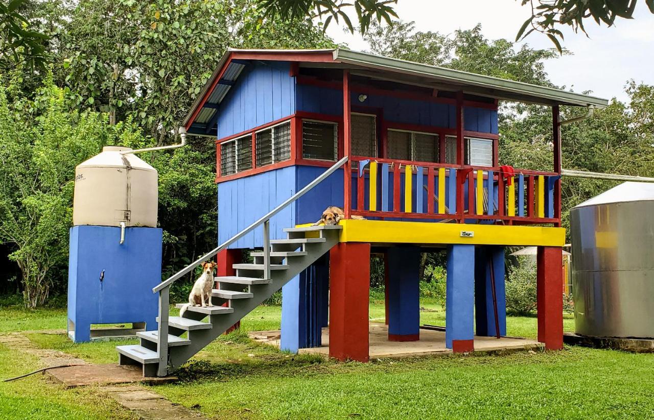 Lower Dover Jungle Lodge & Maya Ruins Unitedville Экстерьер фото