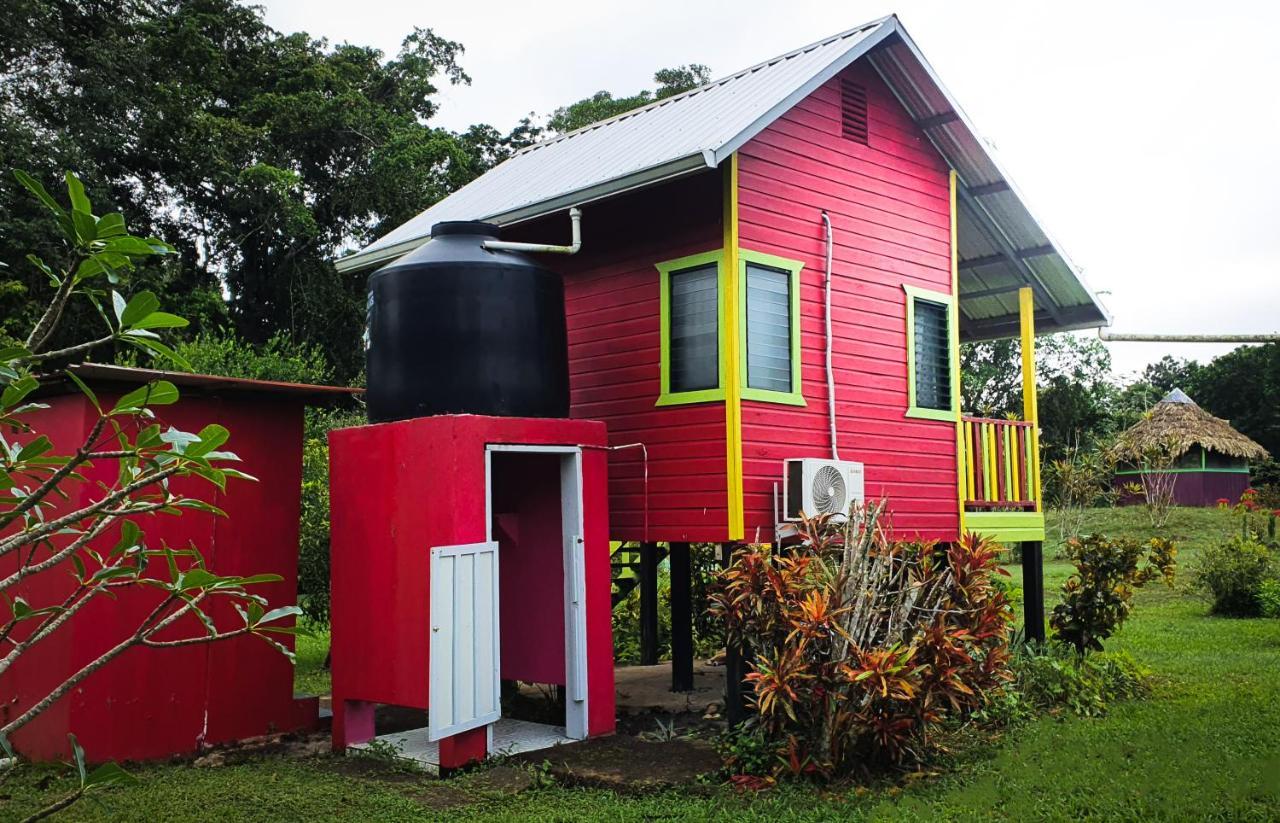 Lower Dover Jungle Lodge & Maya Ruins Unitedville Экстерьер фото