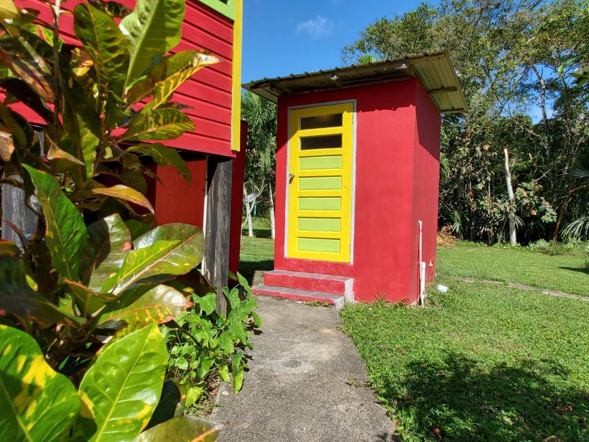 Lower Dover Jungle Lodge & Maya Ruins Unitedville Экстерьер фото