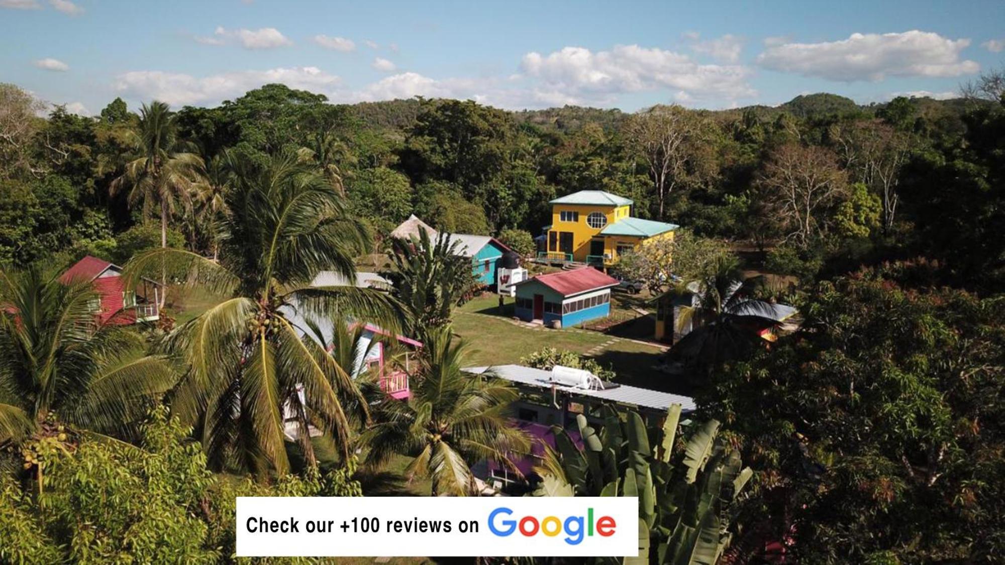 Lower Dover Jungle Lodge & Maya Ruins Unitedville Экстерьер фото