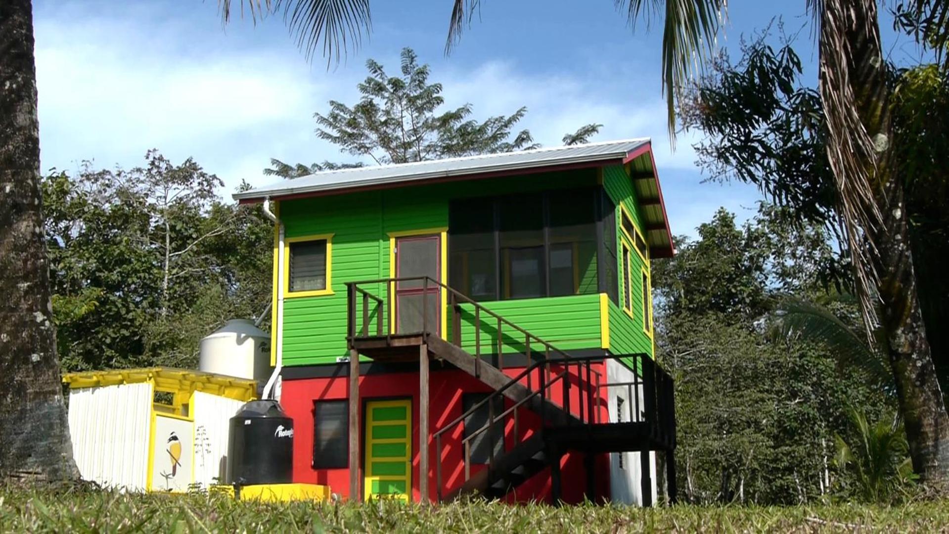 Lower Dover Jungle Lodge & Maya Ruins Unitedville Номер фото