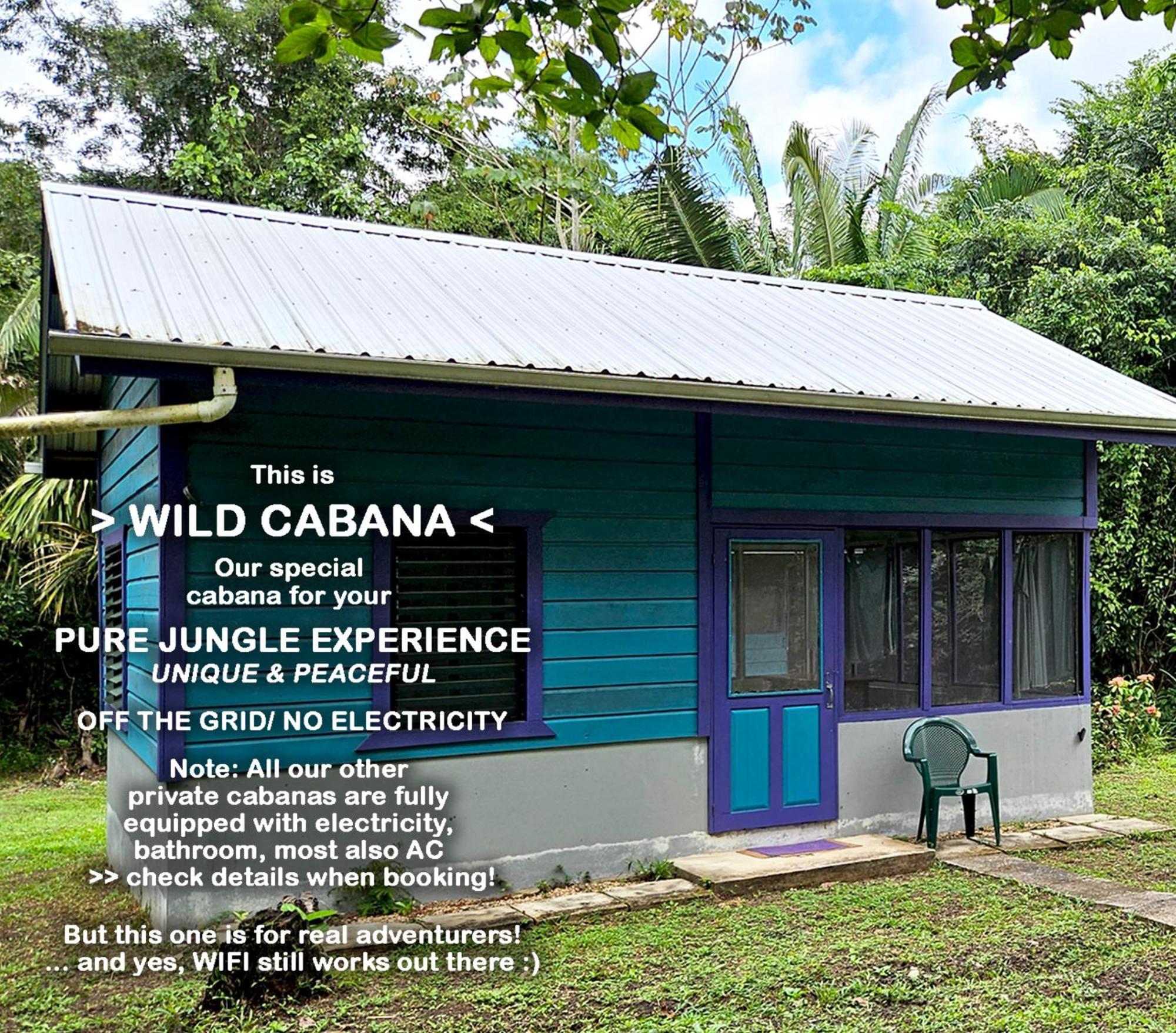 Lower Dover Jungle Lodge & Maya Ruins Unitedville Номер фото
