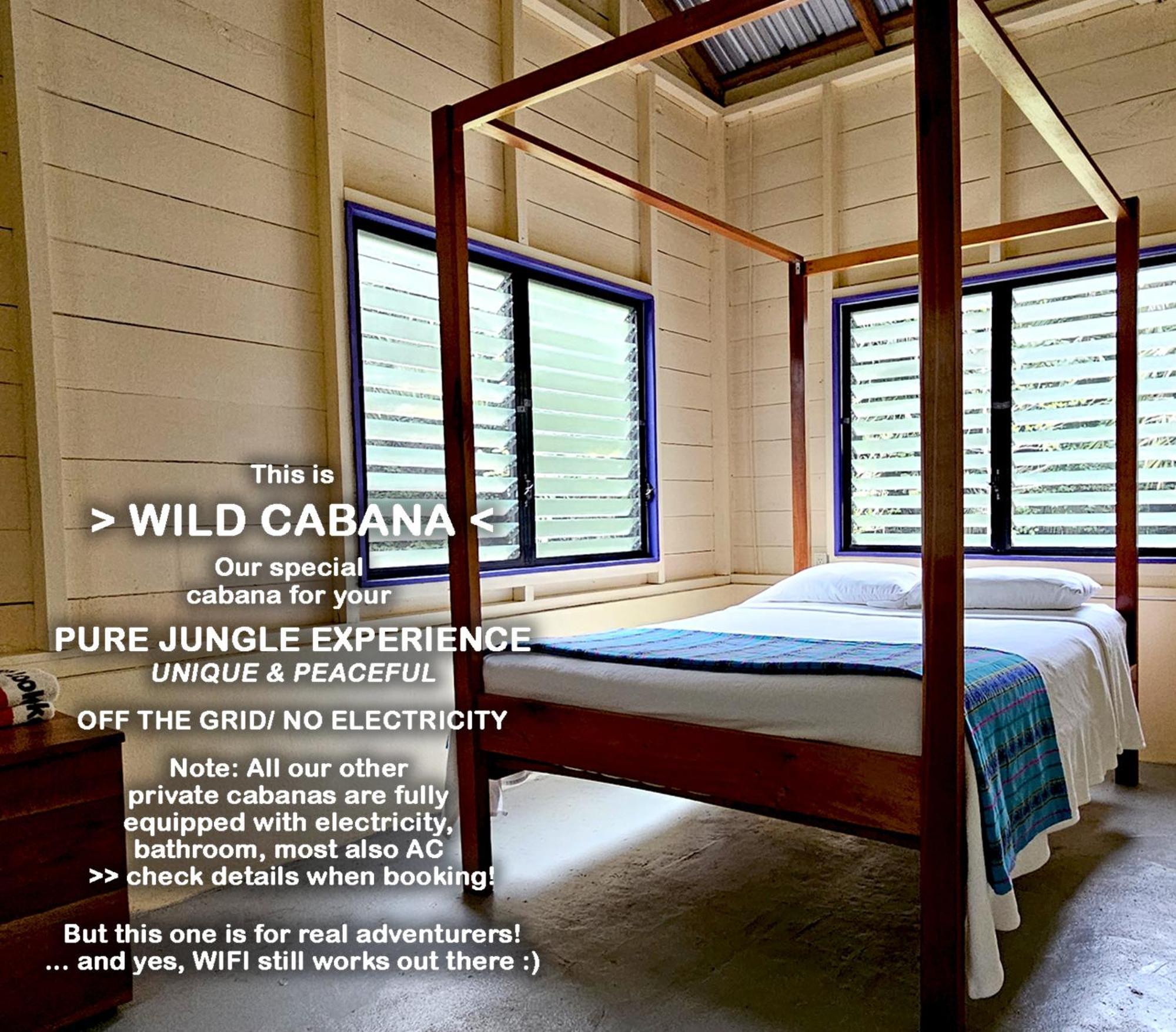 Lower Dover Jungle Lodge & Maya Ruins Unitedville Номер фото