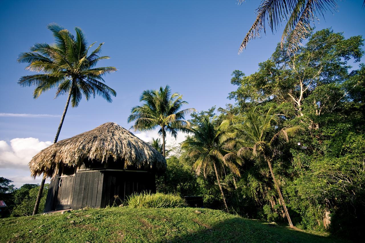 Lower Dover Jungle Lodge & Maya Ruins Unitedville Экстерьер фото