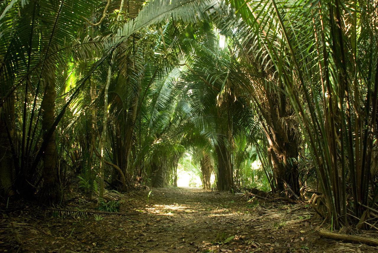 Lower Dover Jungle Lodge & Maya Ruins Unitedville Экстерьер фото