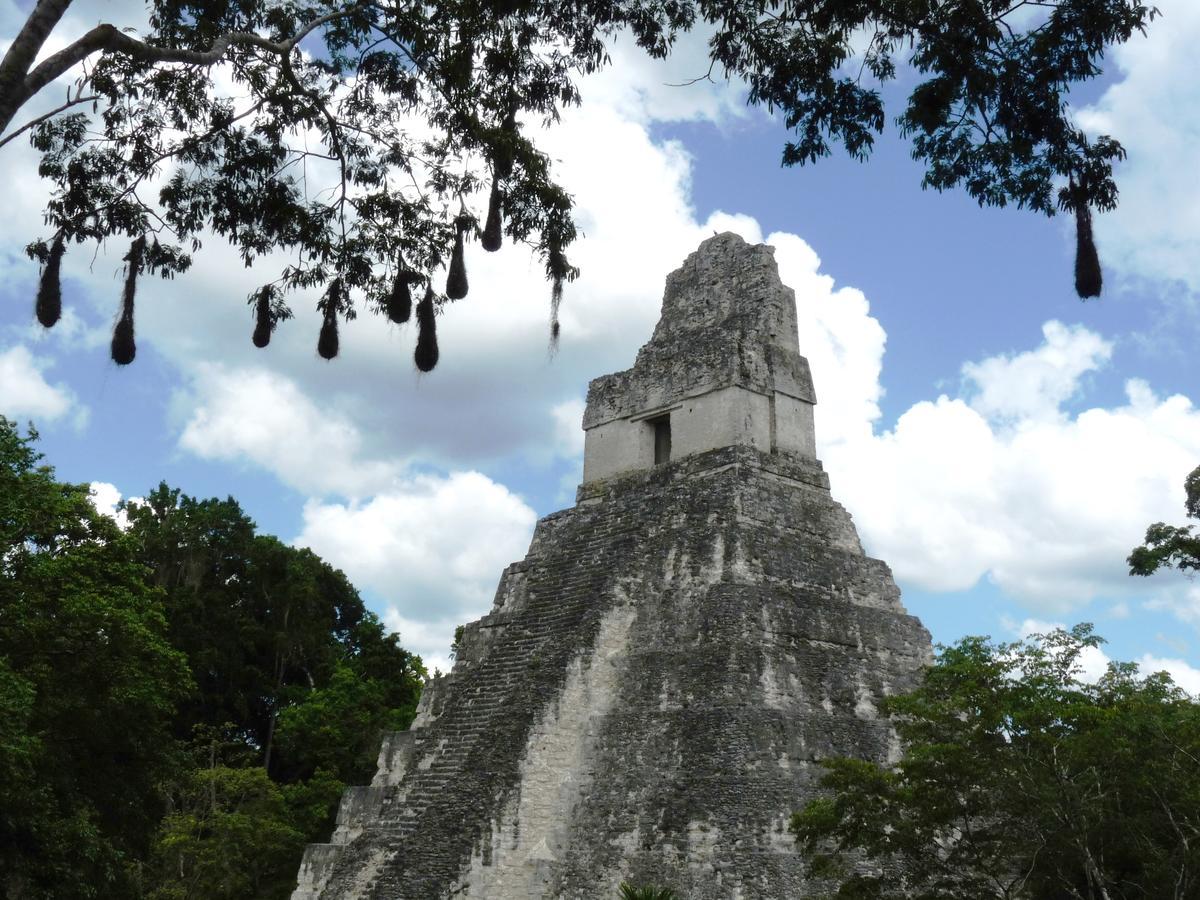 Lower Dover Jungle Lodge & Maya Ruins Unitedville Экстерьер фото