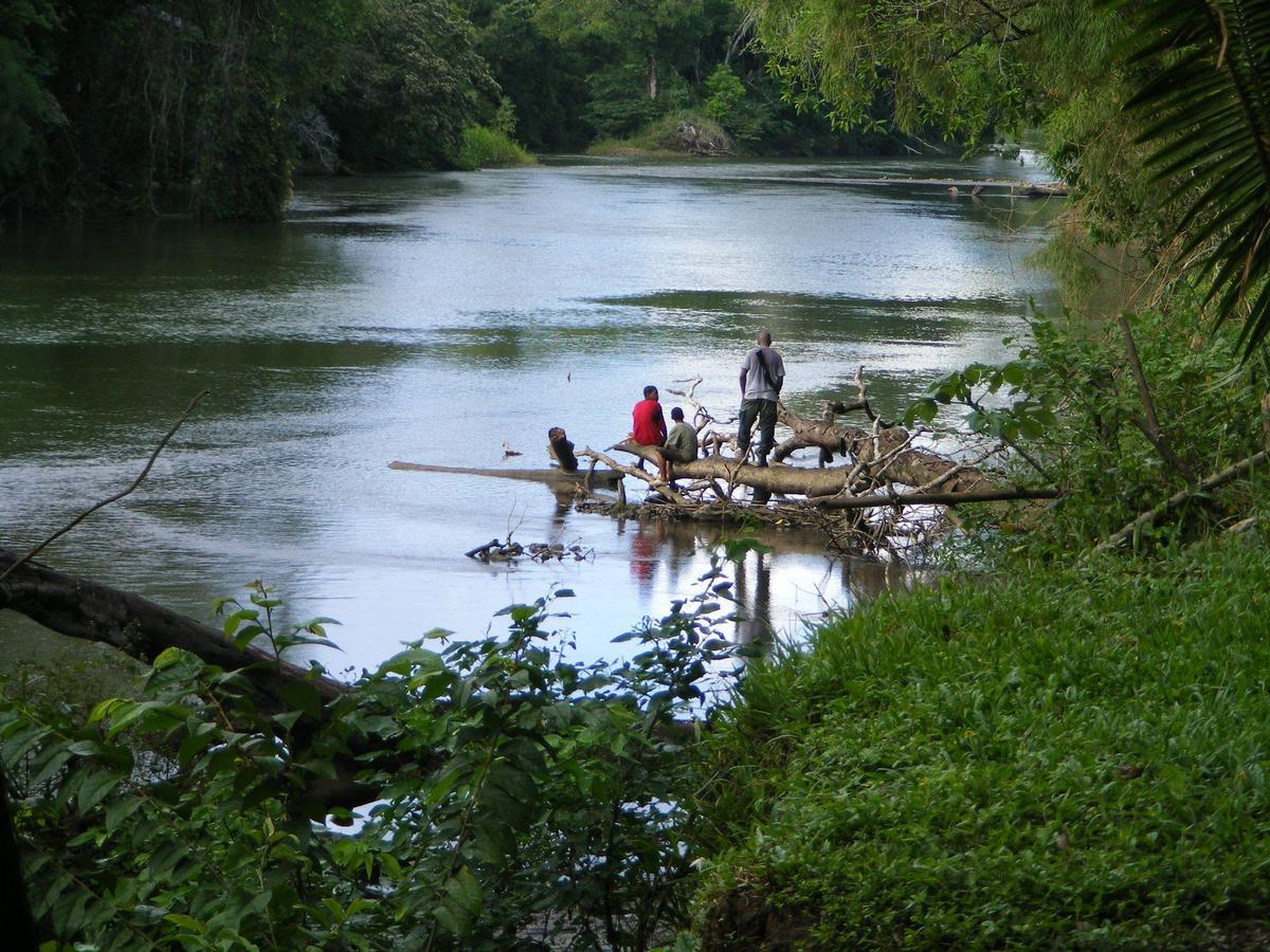Lower Dover Jungle Lodge & Maya Ruins Unitedville Экстерьер фото