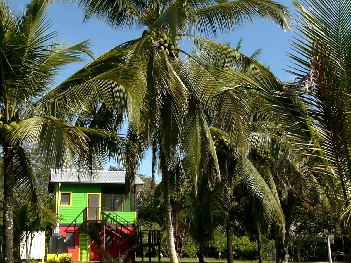 Lower Dover Jungle Lodge & Maya Ruins Unitedville Экстерьер фото