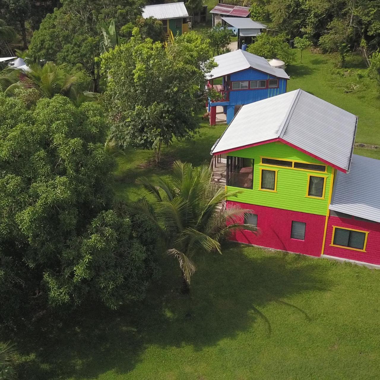 Lower Dover Jungle Lodge & Maya Ruins Unitedville Экстерьер фото